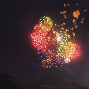 WWWW日本🇯🇵60
